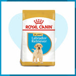 Alimento Royal Canin BHN Labrador Retriever Puppy 13.6kg