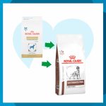 Alimento Royal Canin Gastro-Intestinal Fiber Response 4kg