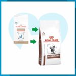 Alimento Royal Canin Gastro-Intestinal High Energy Feline 4kg