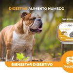 Alimento Nupec Digestive Para Perro Lata 100g (envío a partir de $250.00 pesos)