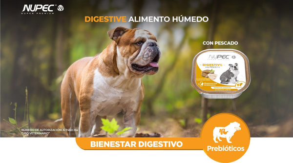 Alimento Nupec Digestive Para Perro Lata 100g (envío a partir de $250.00 pesos)