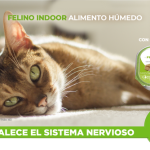 Alimento Nupec Indoor Para Gato Lata 100g (envío a partir de $250.00 pesos)