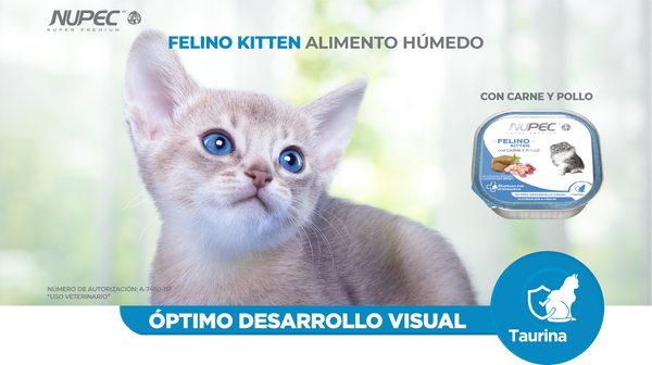 Alimento Nupec Kitten Para Gato Lata 100g (envío a partir de $250.00 pesos)