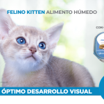 Alimento Nupec Kitten Para Gato Lata 100g (envío a partir de $250.00 pesos)