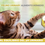 Alimento Nupec Urinary Para Gato Lata 100g (envío a partir de $250.00 pesos)