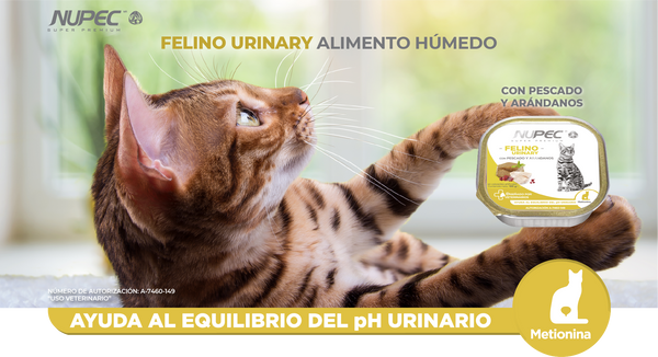Alimento Nupec Urinary Para Gato Lata 100g (envío a partir de $250.00 pesos)