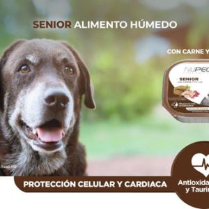 Alimento Nupec Senior Para Perro Lata 100g (envío a partir de $250.00 pesos)