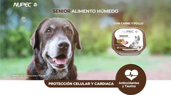 Alimento Nupec Senior Para Perro Lata 100g (envío a partir de $250.00 pesos)